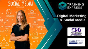 seo advertising